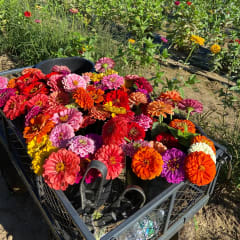 Bakewicz Farms, from its own website
