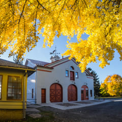 Cayuga Museum of History & Art, from its own website