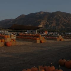 Conejo Family Farms, from its own website