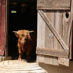46 Ranch, from its own website
