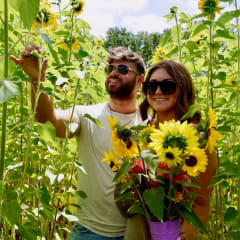 Ananda Farm, from its own website