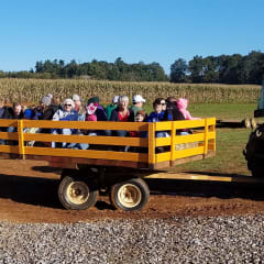 Maple Lane Farms, from its own website