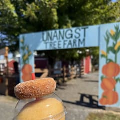 Unangst Tree Farms, from its own website