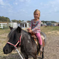 Cedar Crest Farm, from its own website
