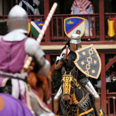 Carolina Renaissance Festival, from its own website
