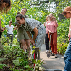 Brooklyn Botanic Garden, from its own website
