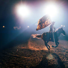 San Antonio Stock Show and Rodeo, from its own website
