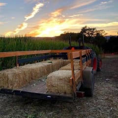 Pumpkin Patch at Webb Ranch, from its own website