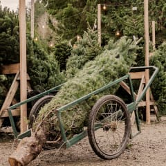 The Wickerd Farm, from its own website