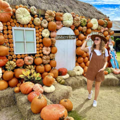 Dewberry Farm, from its own website