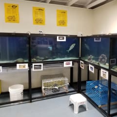 Marine Education Center, from its own website