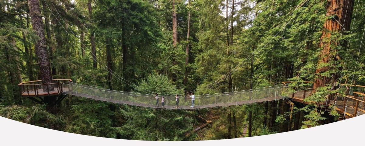 Redwood Sky Walk at Sequoia Park Zoo, from its own website