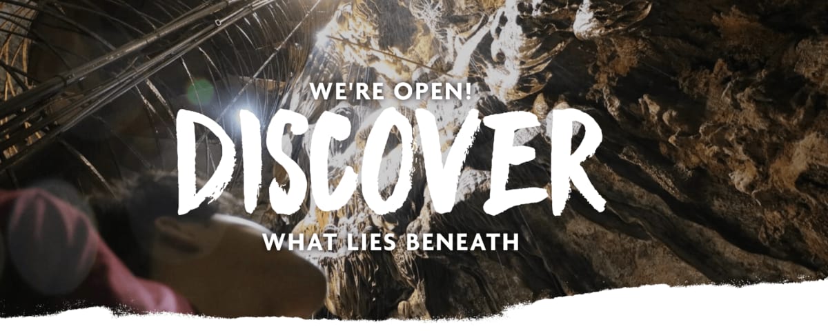 Moaning Caverns Adventure Park, from its own website
