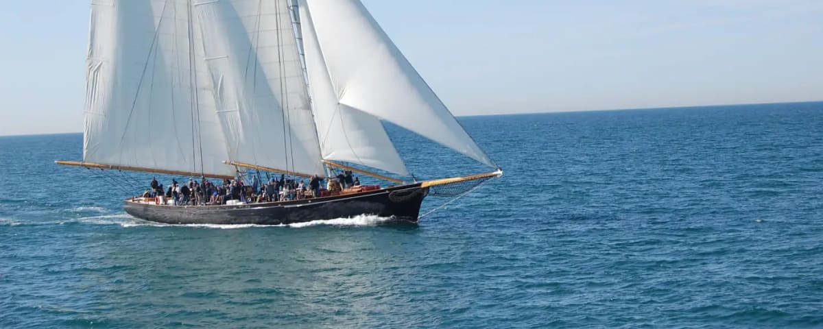 Next Level Sailing - San Diego Whale Watching & Private Yacht Charters, from its own website