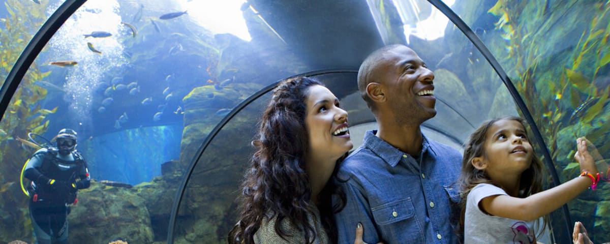 California Science Center, from its own website