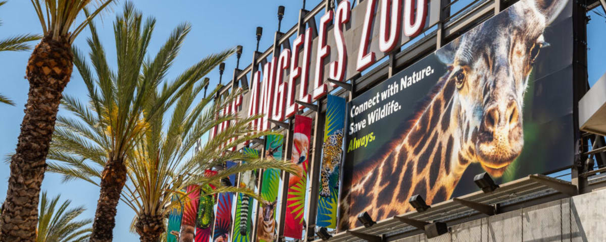 Los Angeles Zoo, from its own website