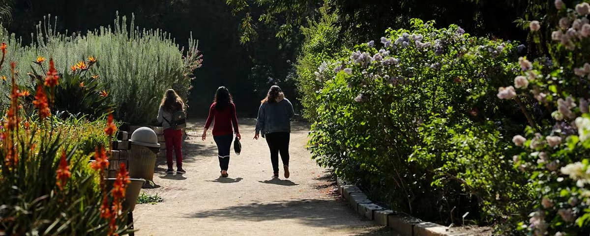 UC Riverside Botanic Gardens, from its own website