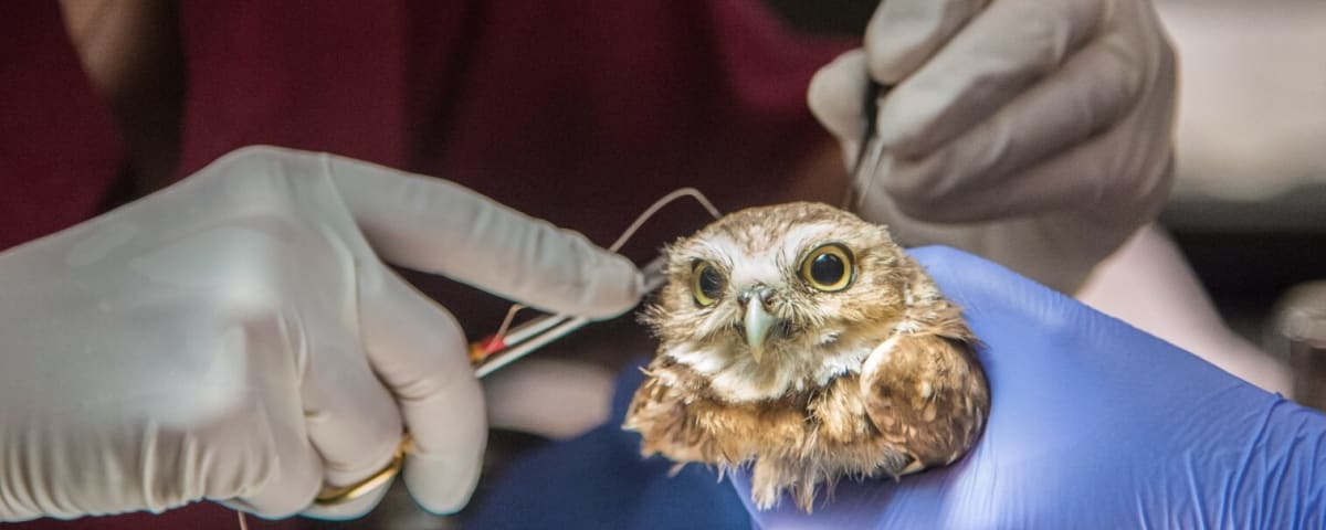 Lindsay Wildlife Experience, from its own website