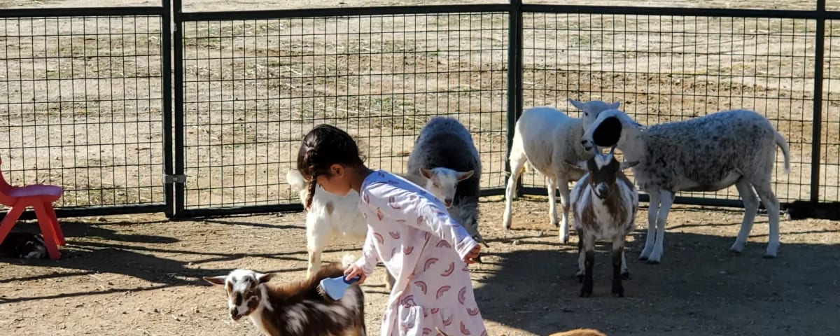 Barber Family Farm, from its own website