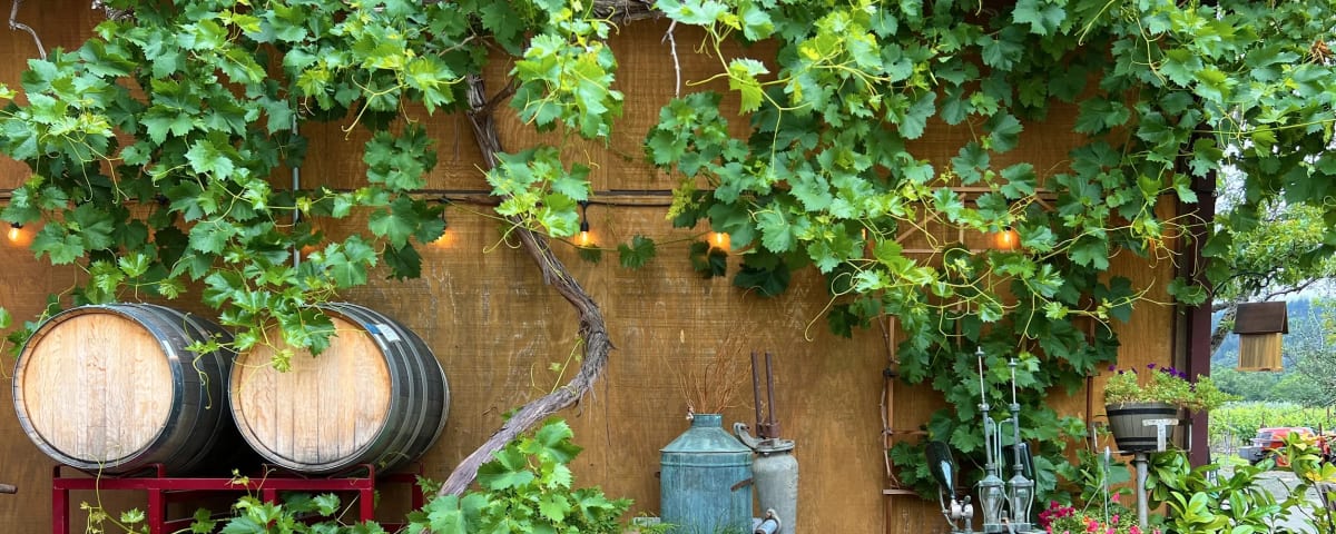 Tedeschi Family Winery - Napa Valley, CA, from its own website