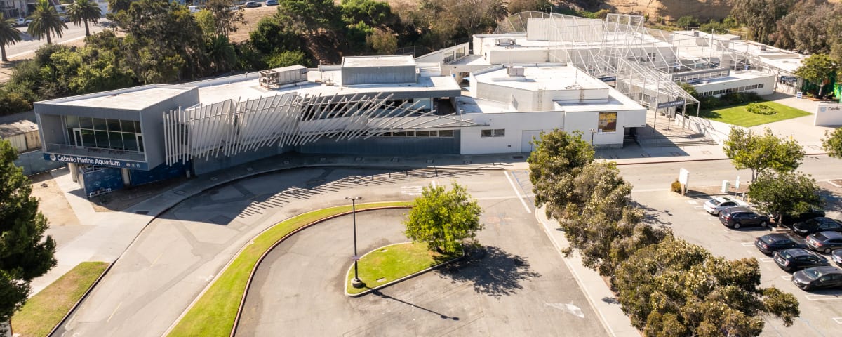 Cabrillo Marine Aquarium, from its own website
