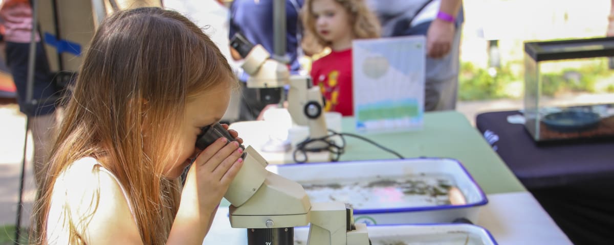 Effie Yeaw Nature Center, from its own website