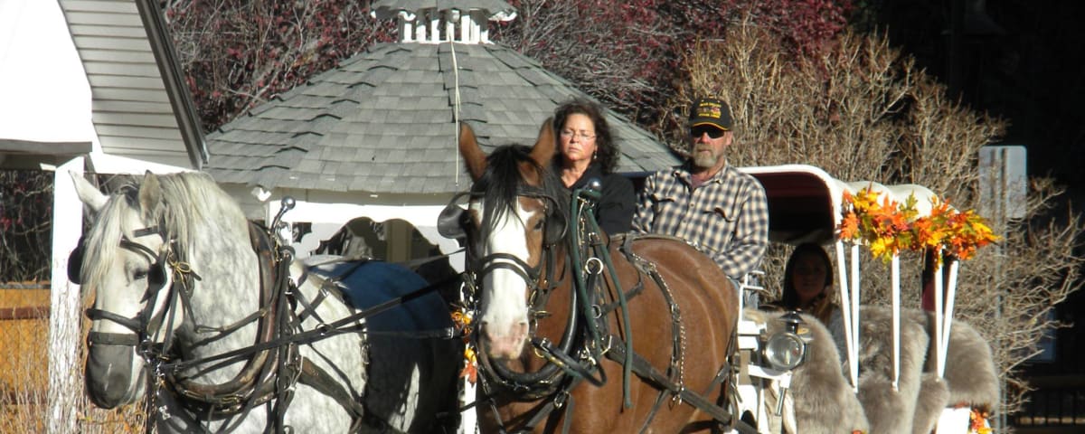 Big Bear Carriages, from its own website