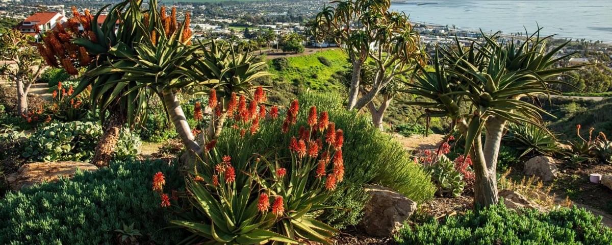 Ventura Botanical Gardens, from its own website