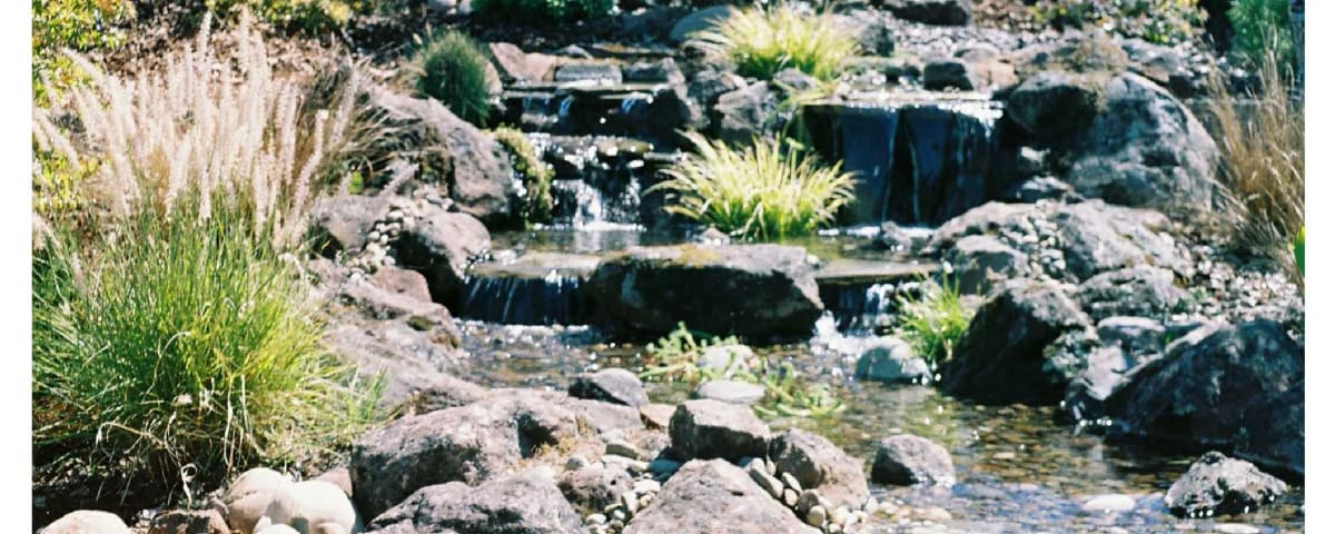 Barracuda Watergardens, from its own website