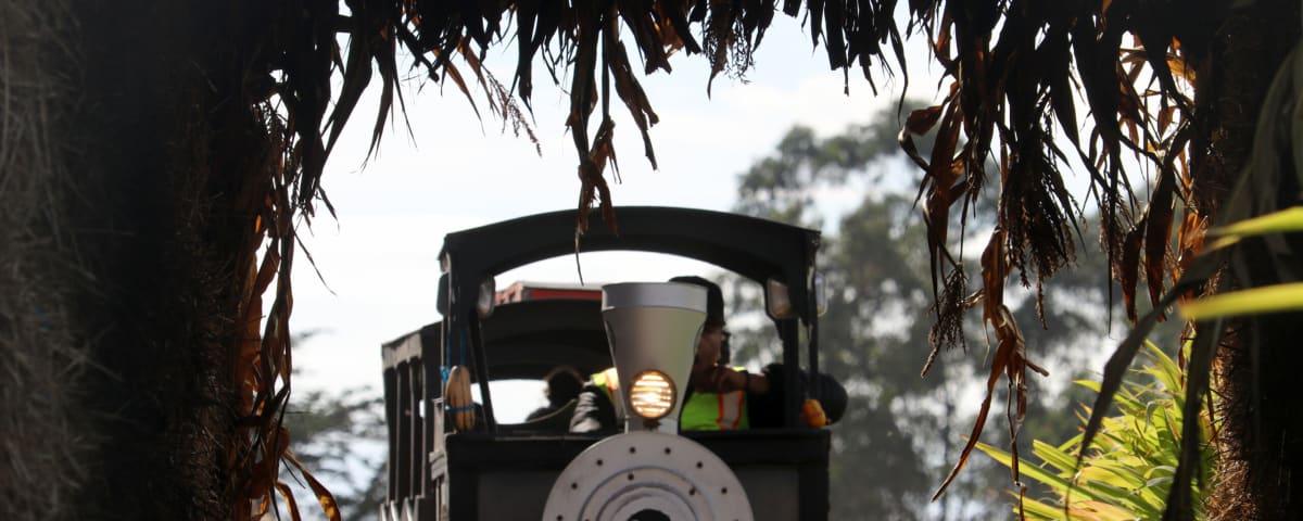 Arata Pumpkin Farm, from its own website