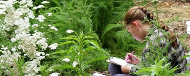 Shipley Nature Center, from its own website