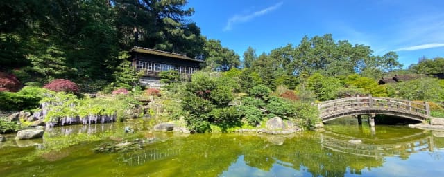 garden photograph — Hakone Estate and Gardens, from its own website