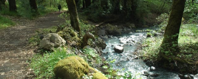 trail and creek photograph — Bothe-Napa Valley State Park, from its own website