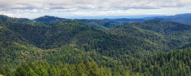 landscape view of park grounds — Castle Rock State Park, from its own website