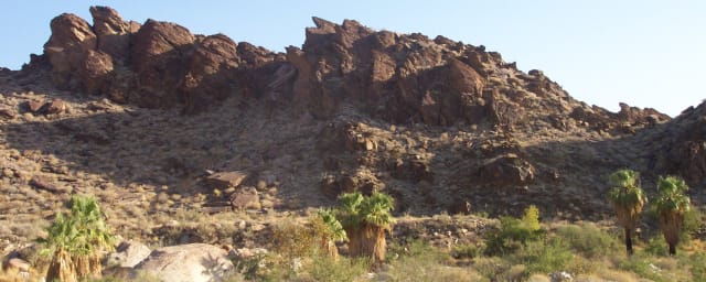 landscape photo of canyon terrain with palm trees — Indian Canyons, from its own website