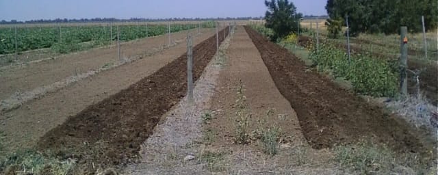 farm field rows — Impossible Acres, from its own website