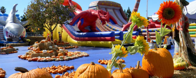 venue photograph - pumpkin patch with inflatables — Golden State Family Farms, from its own website