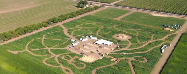 aerial photo of corn maze/pumpkin patch grounds — Cool Patch Pumpkins, from its own website