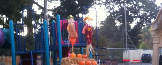 pumpkin patch playground scene — Piedmont Avenue Pumpkin Patch, from its own website