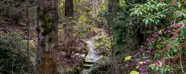 University of California Botanical Garden, from its own website