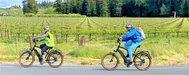 cyclists riding through vineyard on bike tour — Russian River Adventures, from its own website