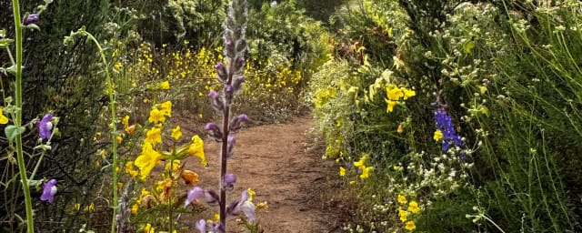 trail/grounds photo — Silverwood Wildlife Sanctuary, from its own website