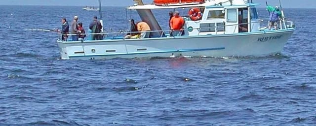 charter fishing boat at sea with passengers — Riptide Charters, from its own website