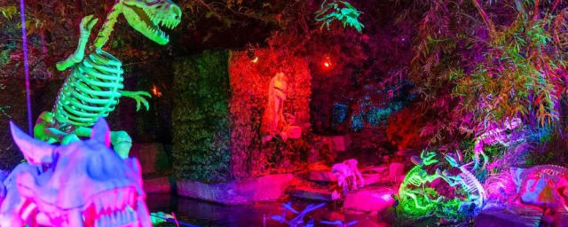 venue exhibit photograph — Boney Island, from its own website