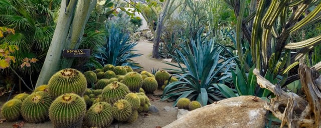 garden path photograph — Moorten Botanical Garden, from its own website
