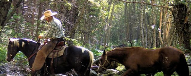 trail ride photo — Yosemite Trails Pack Station, from its own website