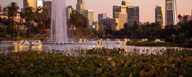 venue photograph — Echo Park Swan Boats by Wheel Fun Rentals, from its own website