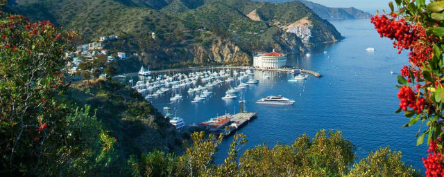harbor view — Catalina Express, from its own website