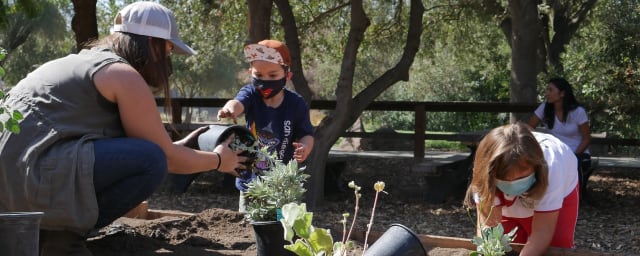 gardening activity — Explorit Science Center, from its own website