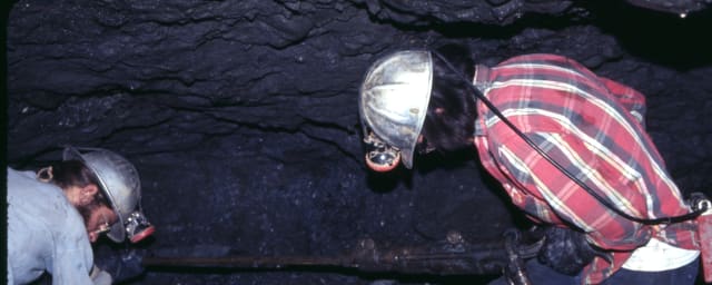 underground mine work scene — Underground Gold Miners Museum, from its own website